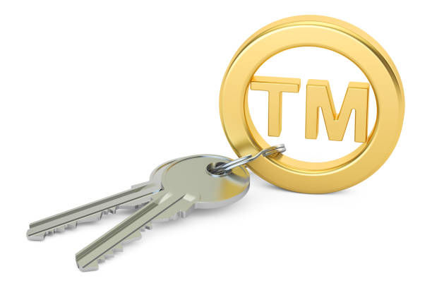 手把手教你查询美国商标，图文教程详解