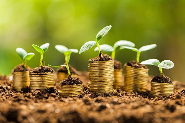 申请美国MSB牌照的监管条件与资料含金量解析