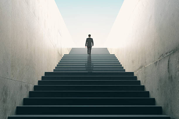 在美国，不同类型的公司该如何进行税务申报？